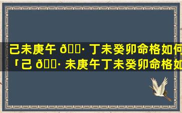 己未庚午 🕷 丁未癸卯命格如何「己 🌷 未庚午丁未癸卯命格如何呢」